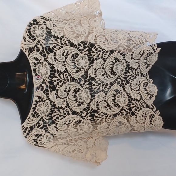 Say What? Beautiful Lace Cropped Top, 21" pit to pit,  18" long - Picture 4 of 7